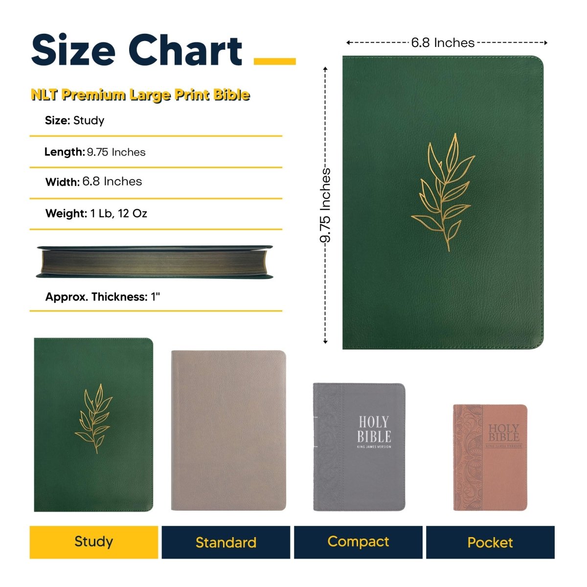 Personalized Premium Large Print NLT Holy Bible with Custom Name in Gold Christian Large Print New Living Translation Bible Gift for Religious Celebrations | Shepherds Shelf - Shepherds Shelf